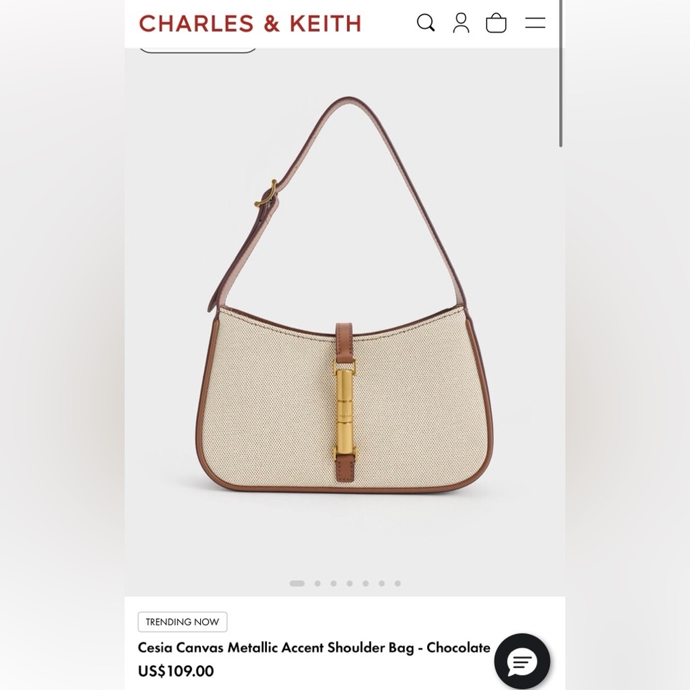 Charles & Keith Cream and Brown Shoulder Bag